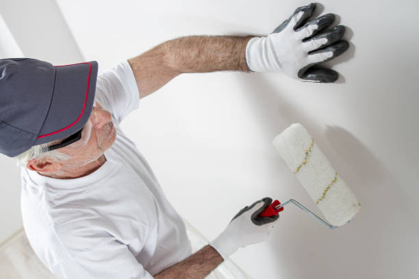 Best Drywall Sanding and Smoothing  in Sonterra, TX