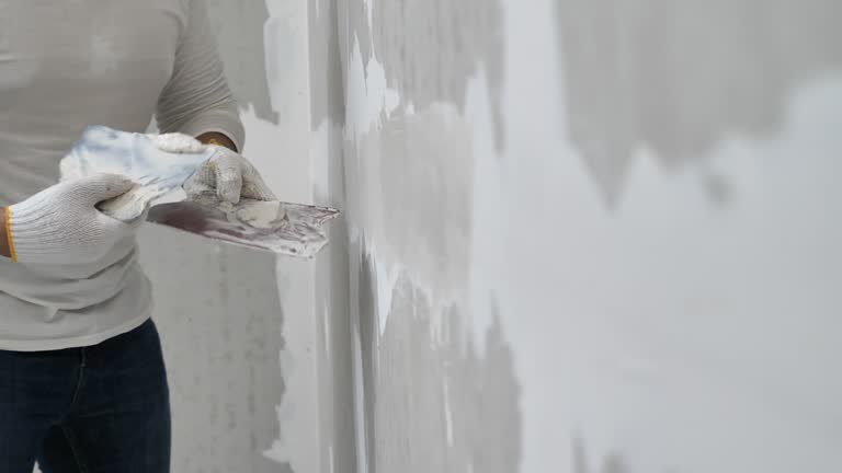 Best Wallpaper Removal and Painting  in Sonterra, TX